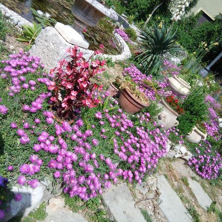Villa Fiorita มอนฟัลโกเน ภายนอก รูปภาพ