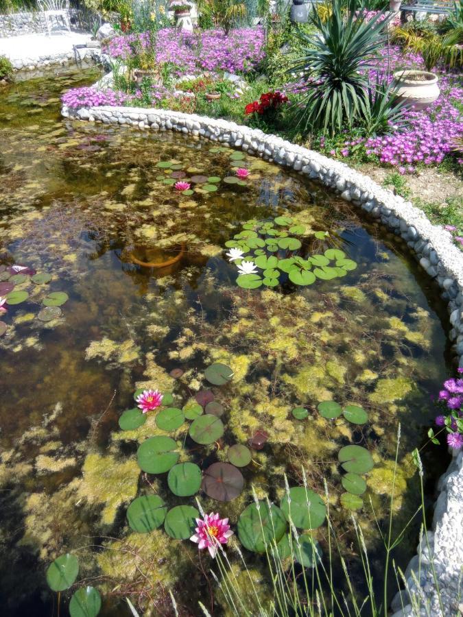Villa Fiorita มอนฟัลโกเน ภายนอก รูปภาพ