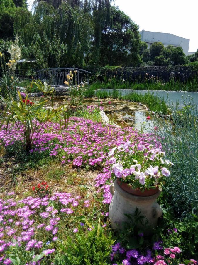 Villa Fiorita มอนฟัลโกเน ภายนอก รูปภาพ