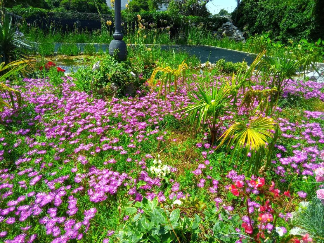 Villa Fiorita มอนฟัลโกเน ภายนอก รูปภาพ