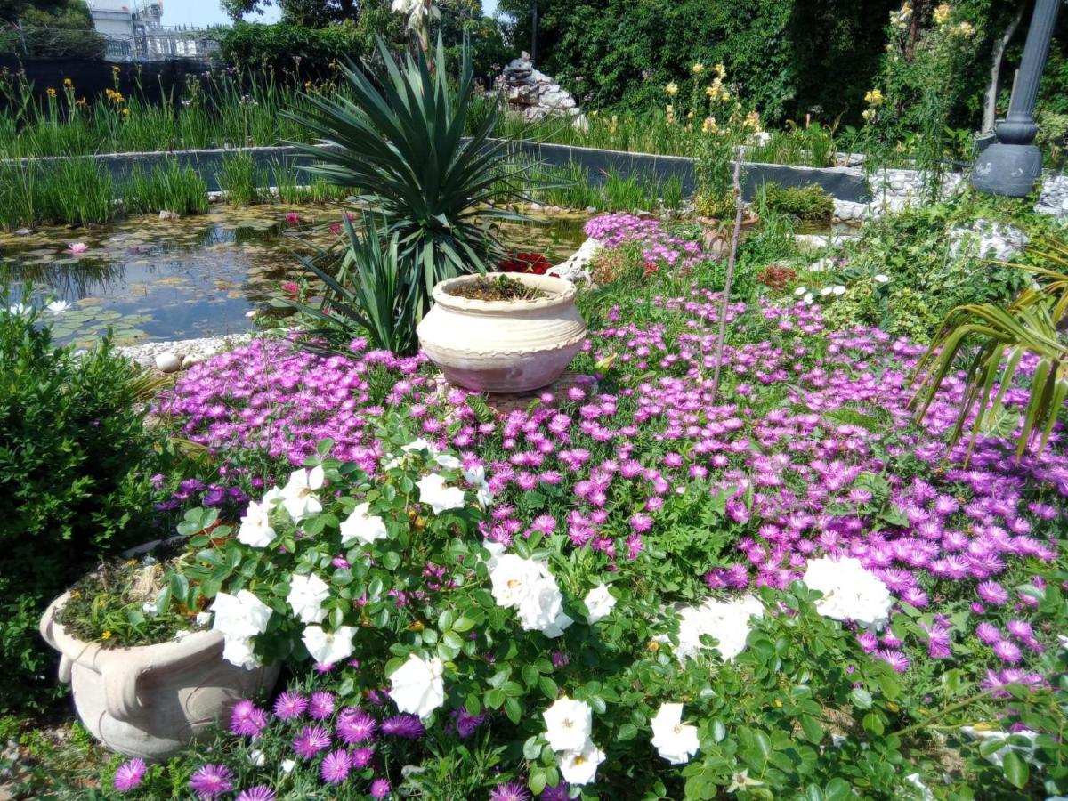 Villa Fiorita มอนฟัลโกเน ภายนอก รูปภาพ