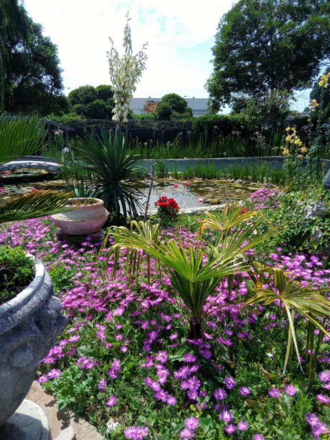 Villa Fiorita มอนฟัลโกเน ภายนอก รูปภาพ