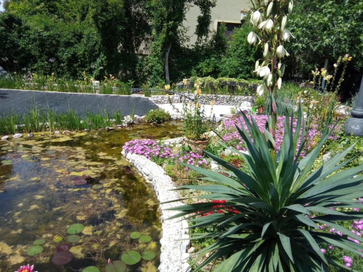 Villa Fiorita มอนฟัลโกเน ภายนอก รูปภาพ